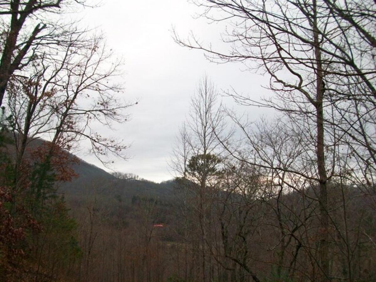 Picture of Residential Land For Sale in Hayesville, North Carolina, United States