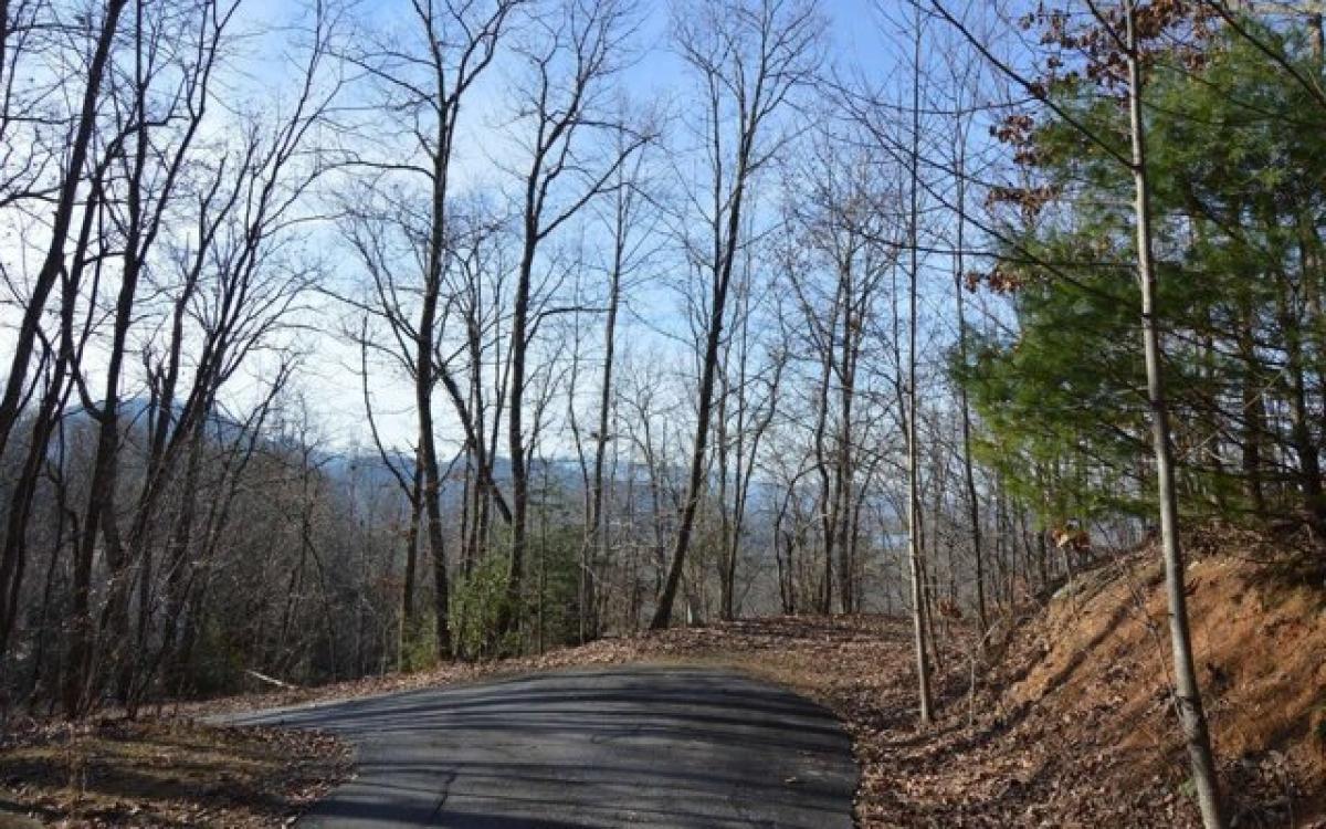 Picture of Residential Land For Sale in Hayesville, North Carolina, United States