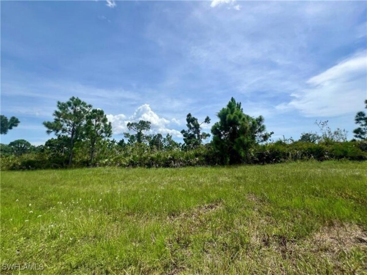 Picture of Residential Land For Sale in Placida, Florida, United States