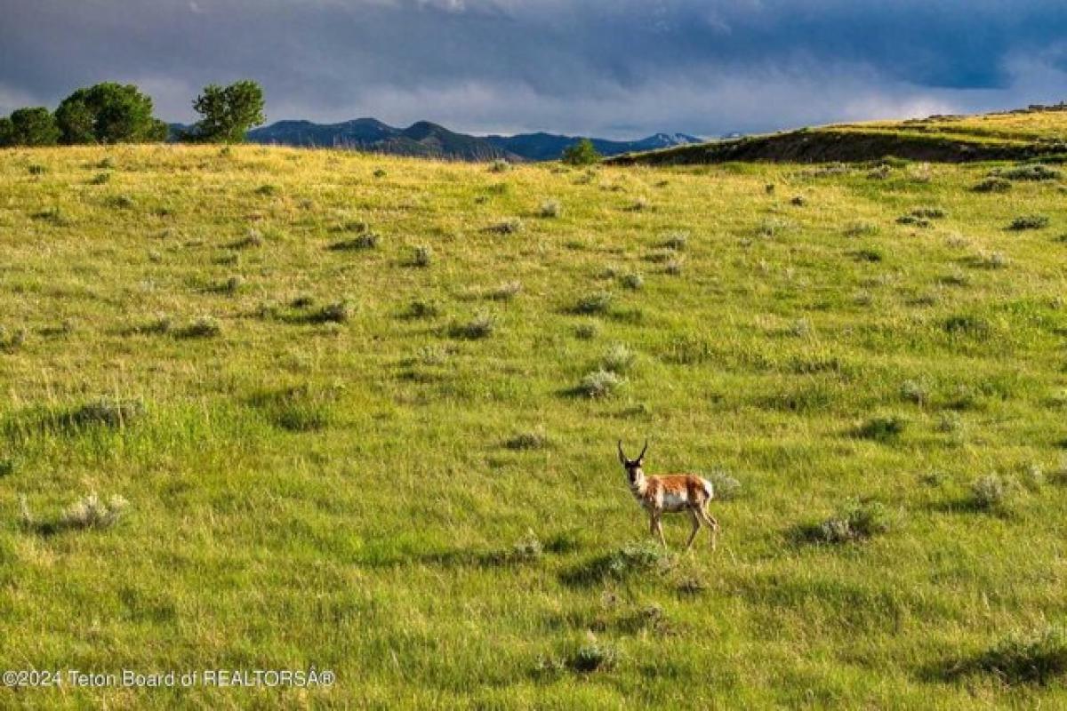 Picture of Residential Land For Sale in Meeteetse, Wyoming, United States