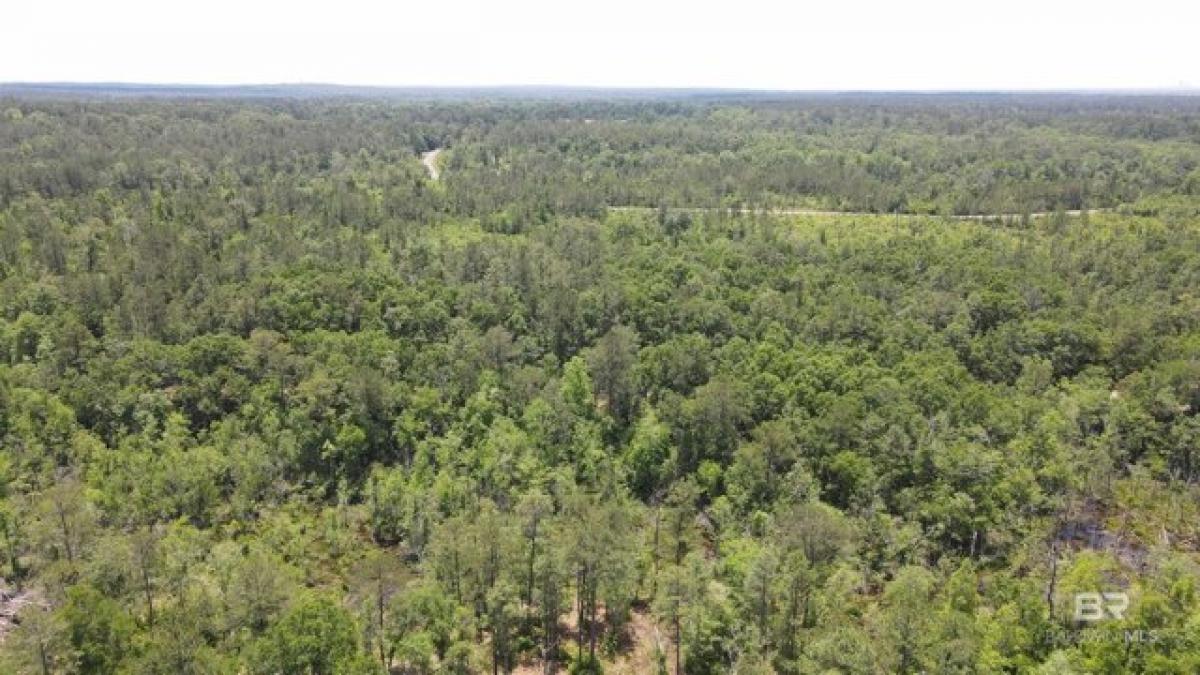 Picture of Residential Land For Sale in Bay Minette, Alabama, United States