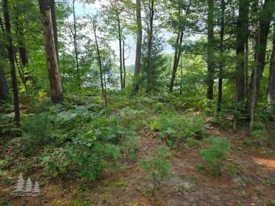 Residential Land For Sale in Lewiston, Michigan