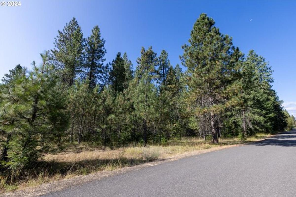 Picture of Residential Land For Sale in Trout Lake, Washington, United States