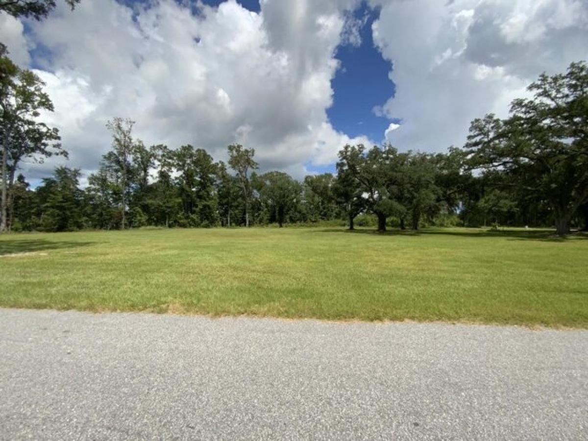 Picture of Residential Land For Sale in Hollywood, South Carolina, United States