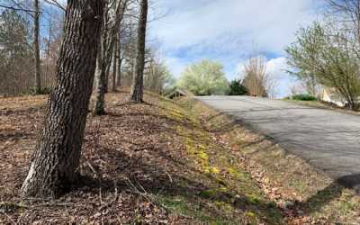 Residential Land For Sale in Hayesville, North Carolina