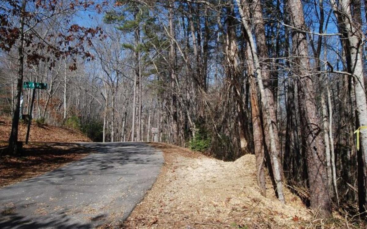 Picture of Residential Land For Sale in Hayesville, North Carolina, United States