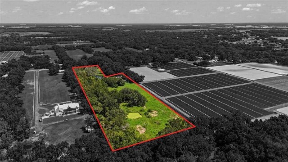 Picture of Residential Land For Sale in Plant City, Florida, United States