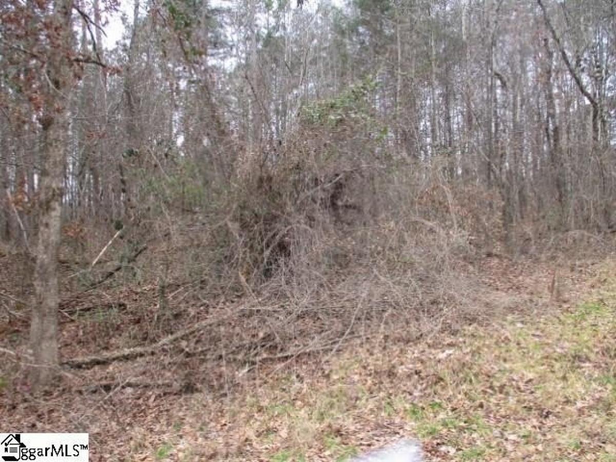 Picture of Residential Land For Sale in Westminster, South Carolina, United States