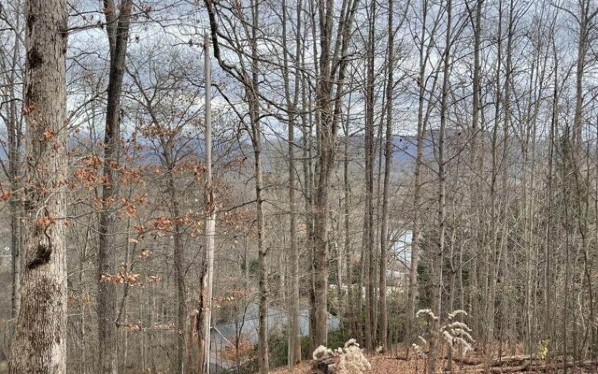 Picture of Residential Land For Sale in Hayesville, North Carolina, United States