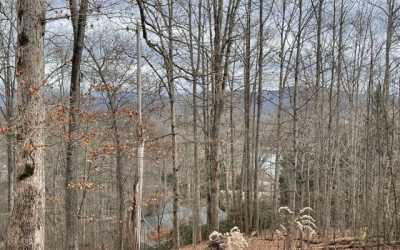 Residential Land For Sale in Hayesville, North Carolina