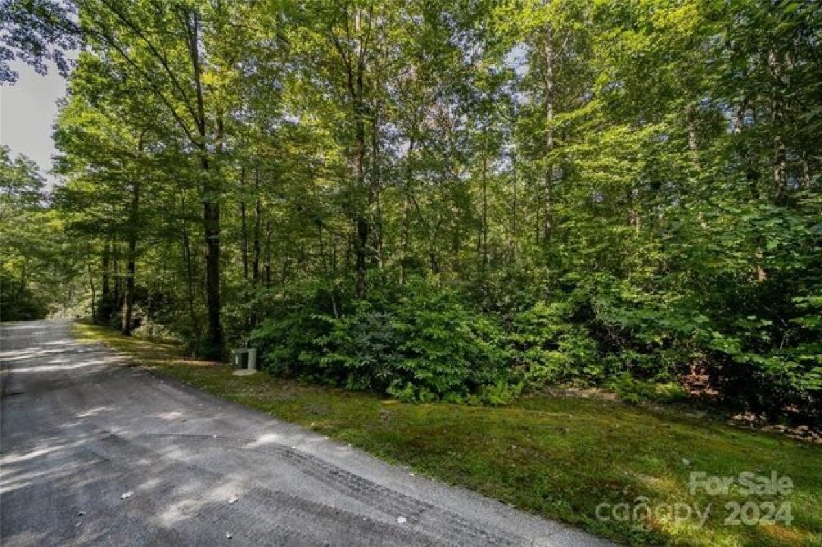 Picture of Residential Land For Sale in Balsam Grove, North Carolina, United States