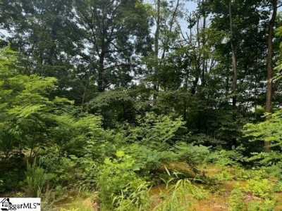 Residential Land For Sale in Landrum, South Carolina