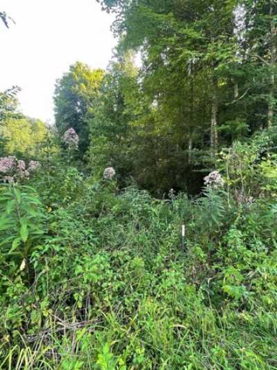 Residential Land For Sale in Crum, West Virginia