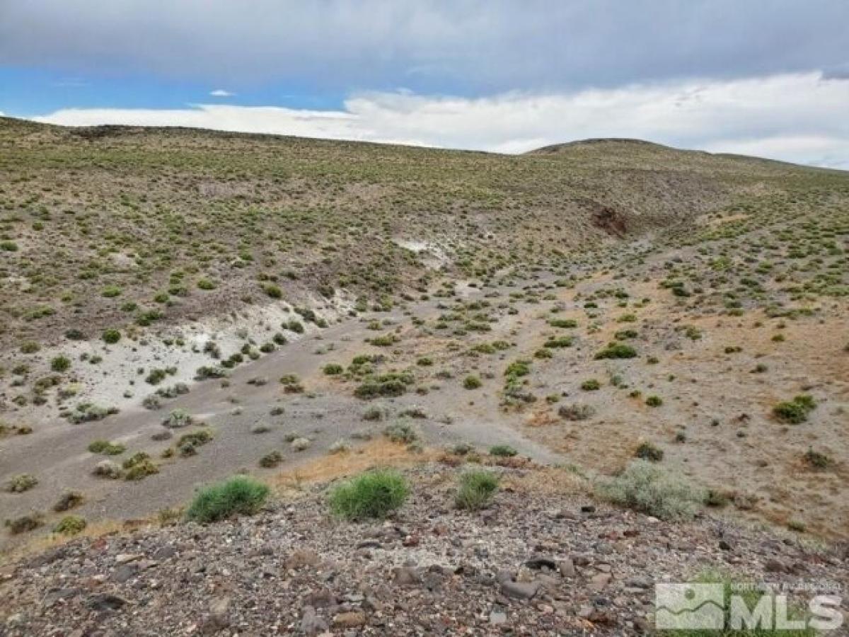 Picture of Residential Land For Sale in Fallon, Nevada, United States