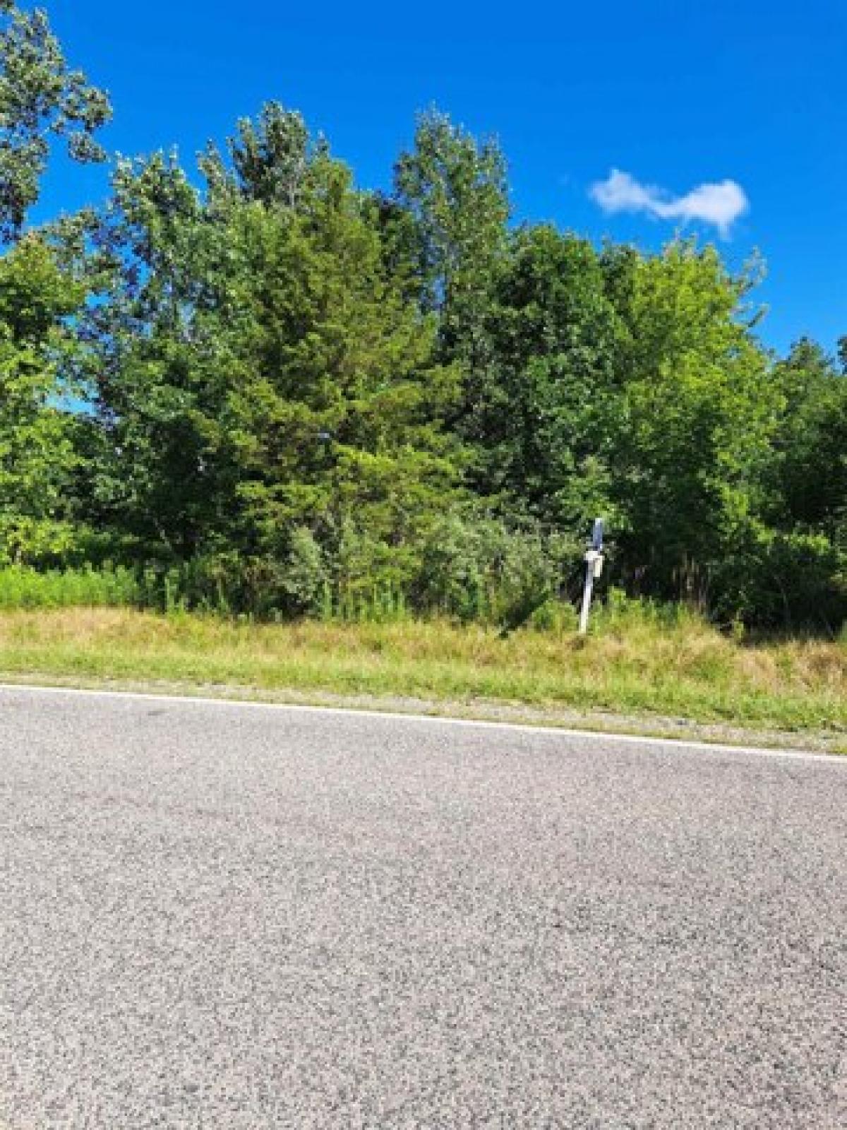 Picture of Residential Land For Sale in Flushing, Michigan, United States