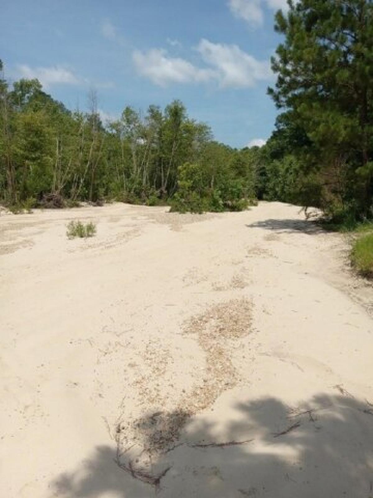 Picture of Residential Land For Sale in Brookhaven, Mississippi, United States