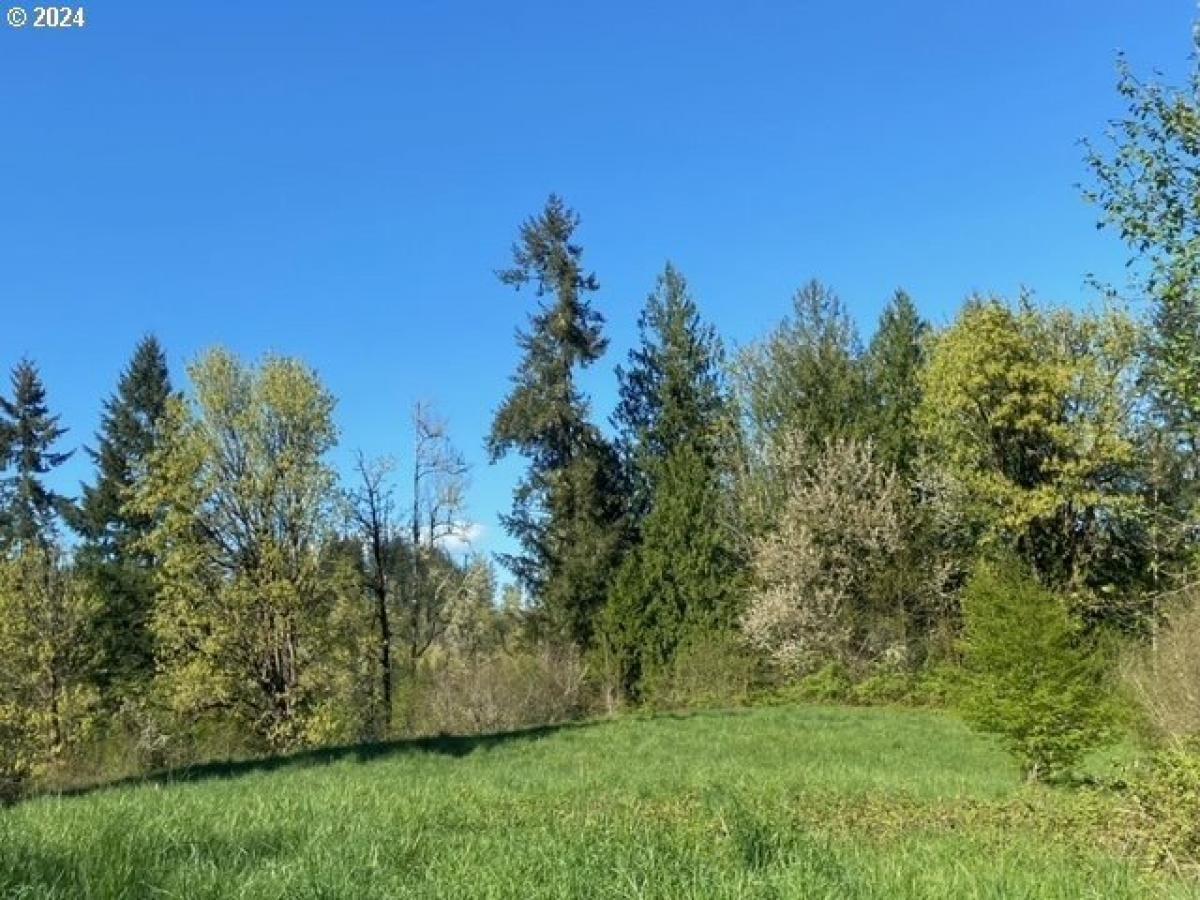 Picture of Residential Land For Sale in Scappoose, Oregon, United States