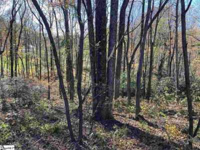 Residential Land For Sale in Landrum, South Carolina