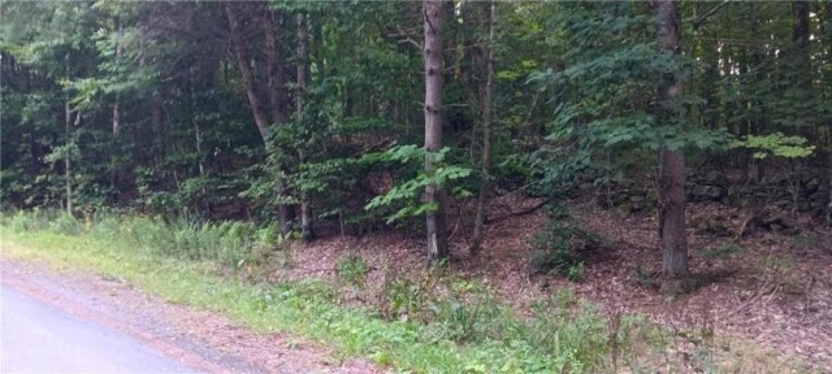 Picture of Residential Land For Sale in Summit, New York, United States