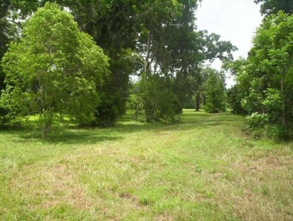 Picture of Residential Land For Sale in Angleton, Texas, United States