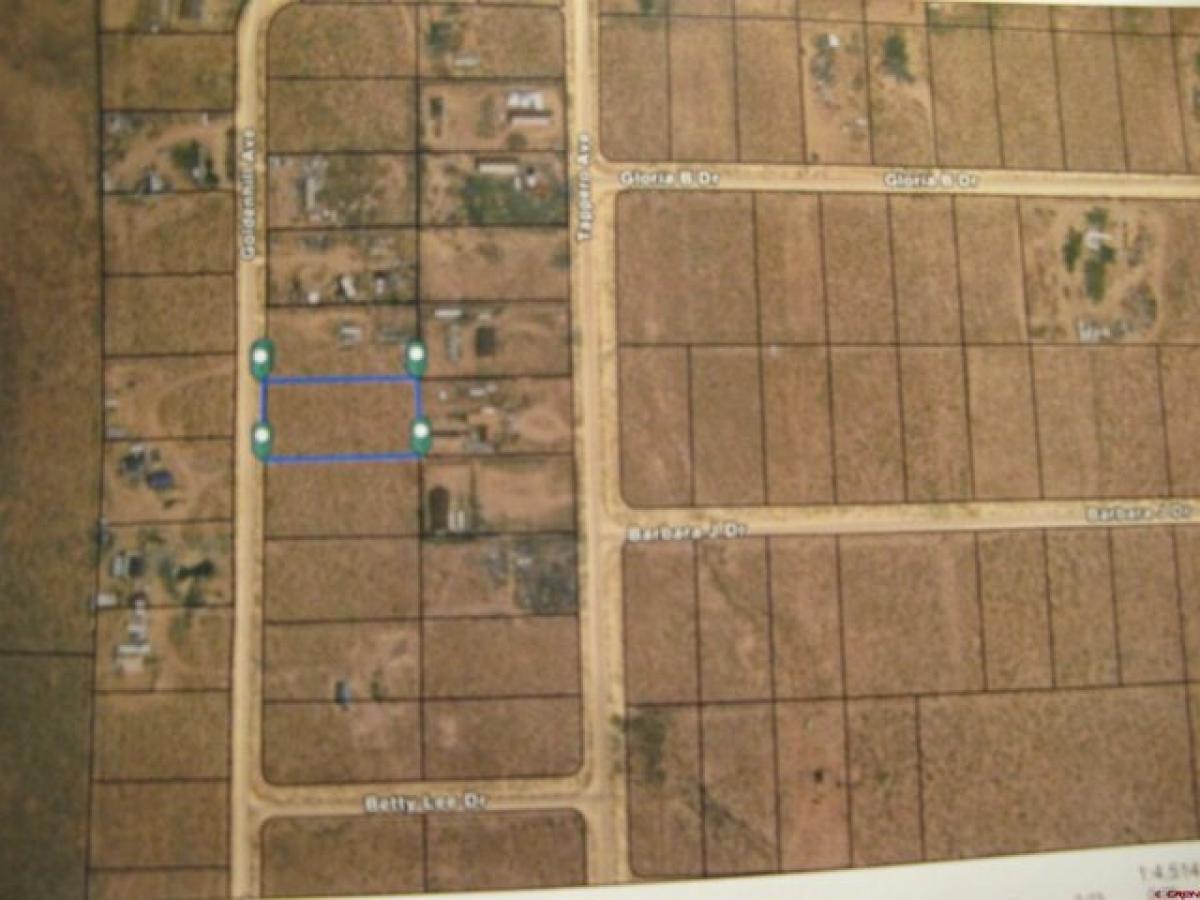 Picture of Residential Land For Rent in Moffat, Colorado, United States