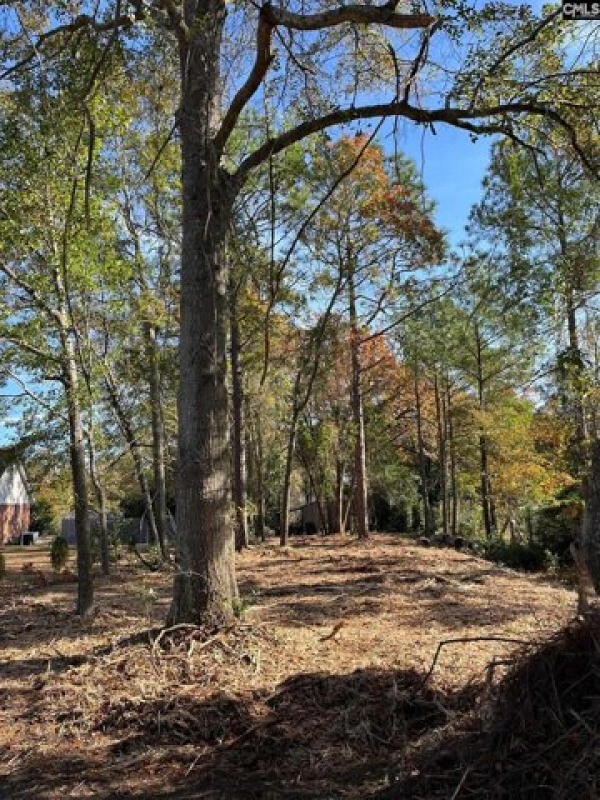 Picture of Residential Land For Sale in Lexington, South Carolina, United States