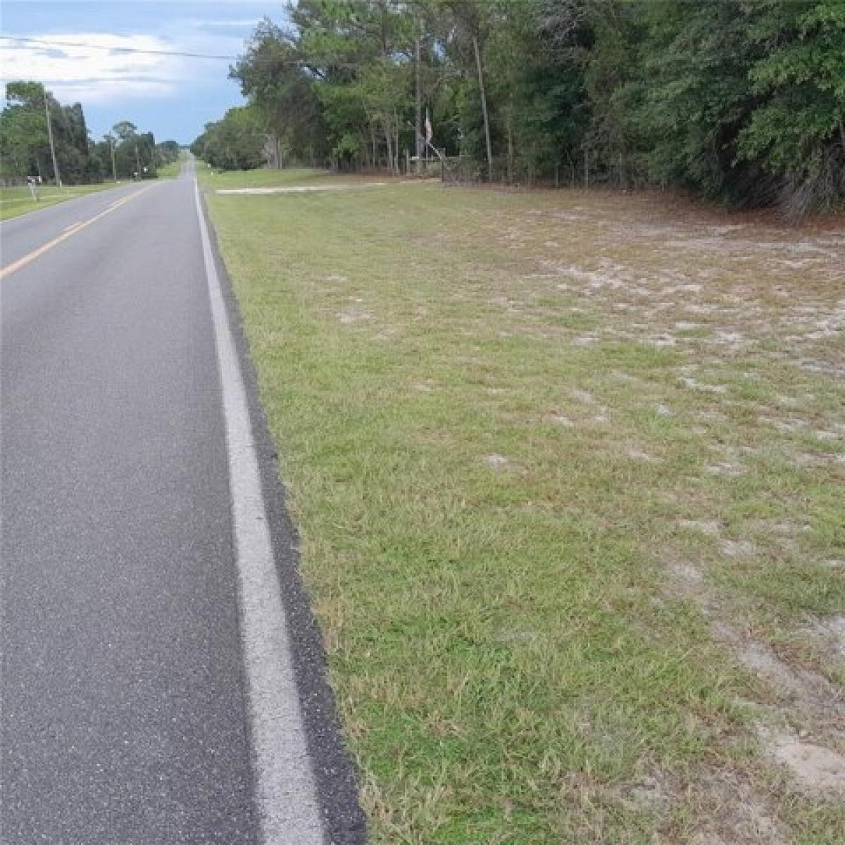 Picture of Residential Land For Sale in Morriston, Florida, United States