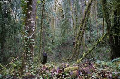 Residential Land For Sale in Portland, Oregon