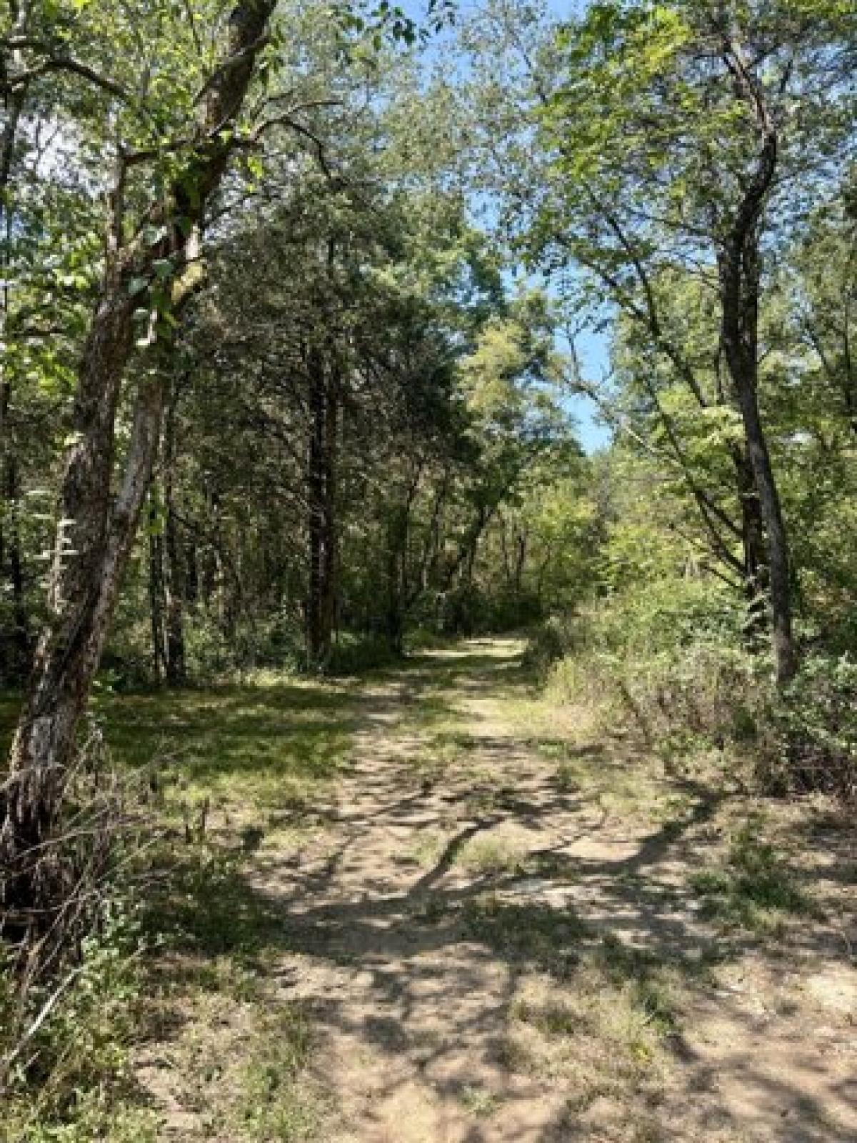 Picture of Residential Land For Sale in Wartrace, Tennessee, United States