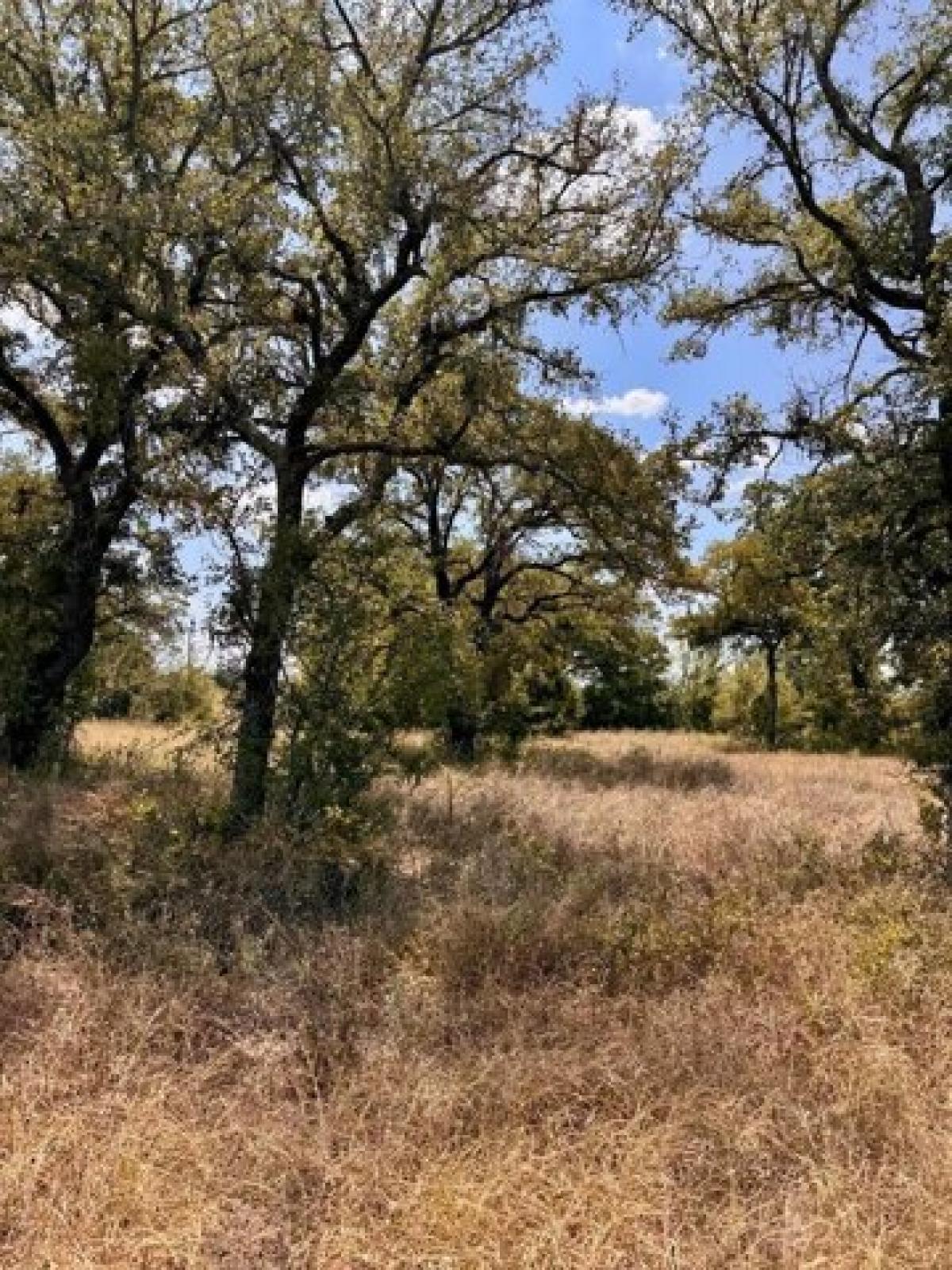 Picture of Residential Land For Sale in Santo, Texas, United States