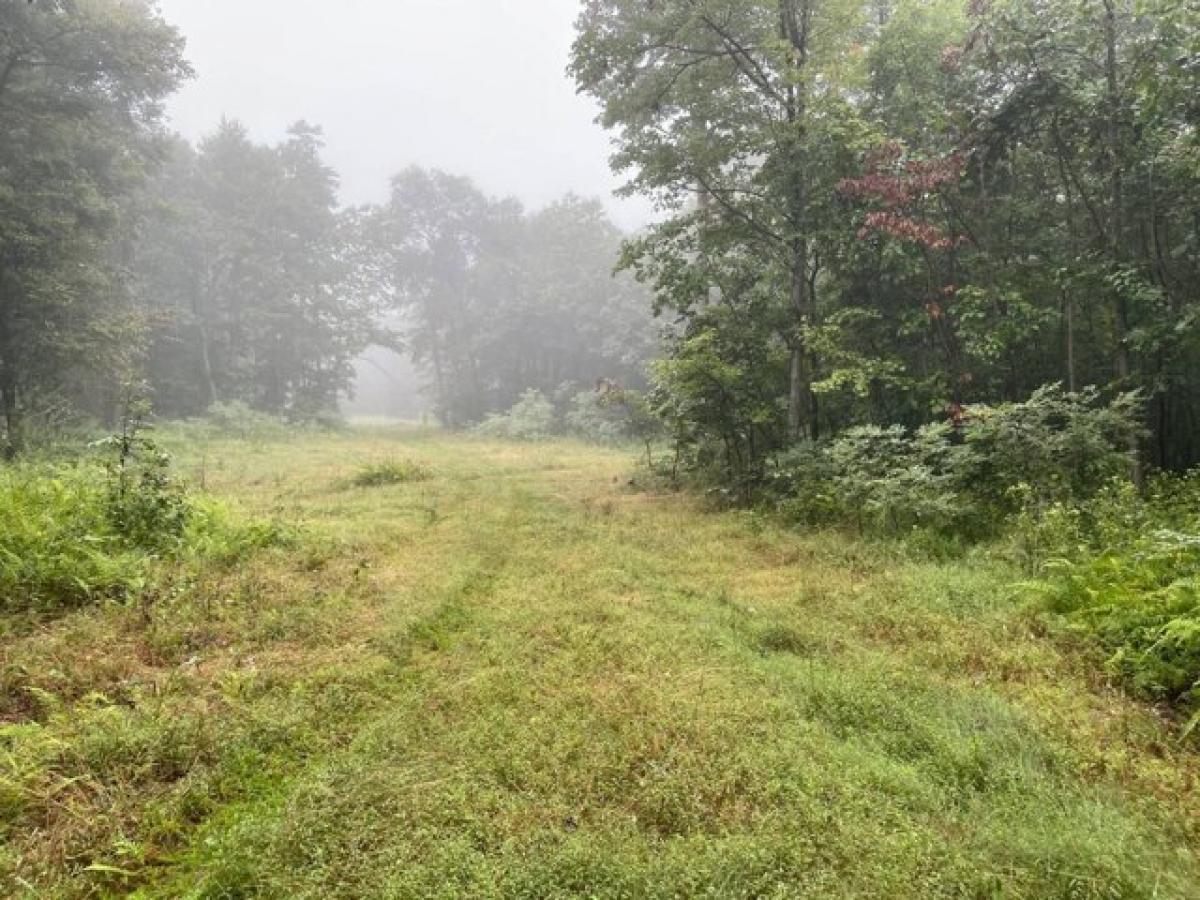 Picture of Residential Land For Sale in Flintstone, Maryland, United States