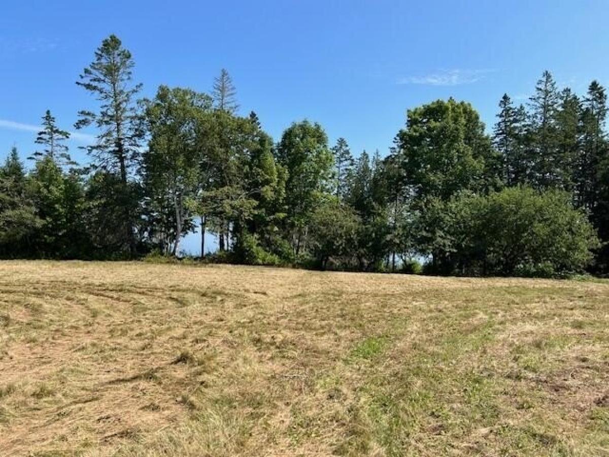 Picture of Residential Land For Sale in Perry, Maine, United States