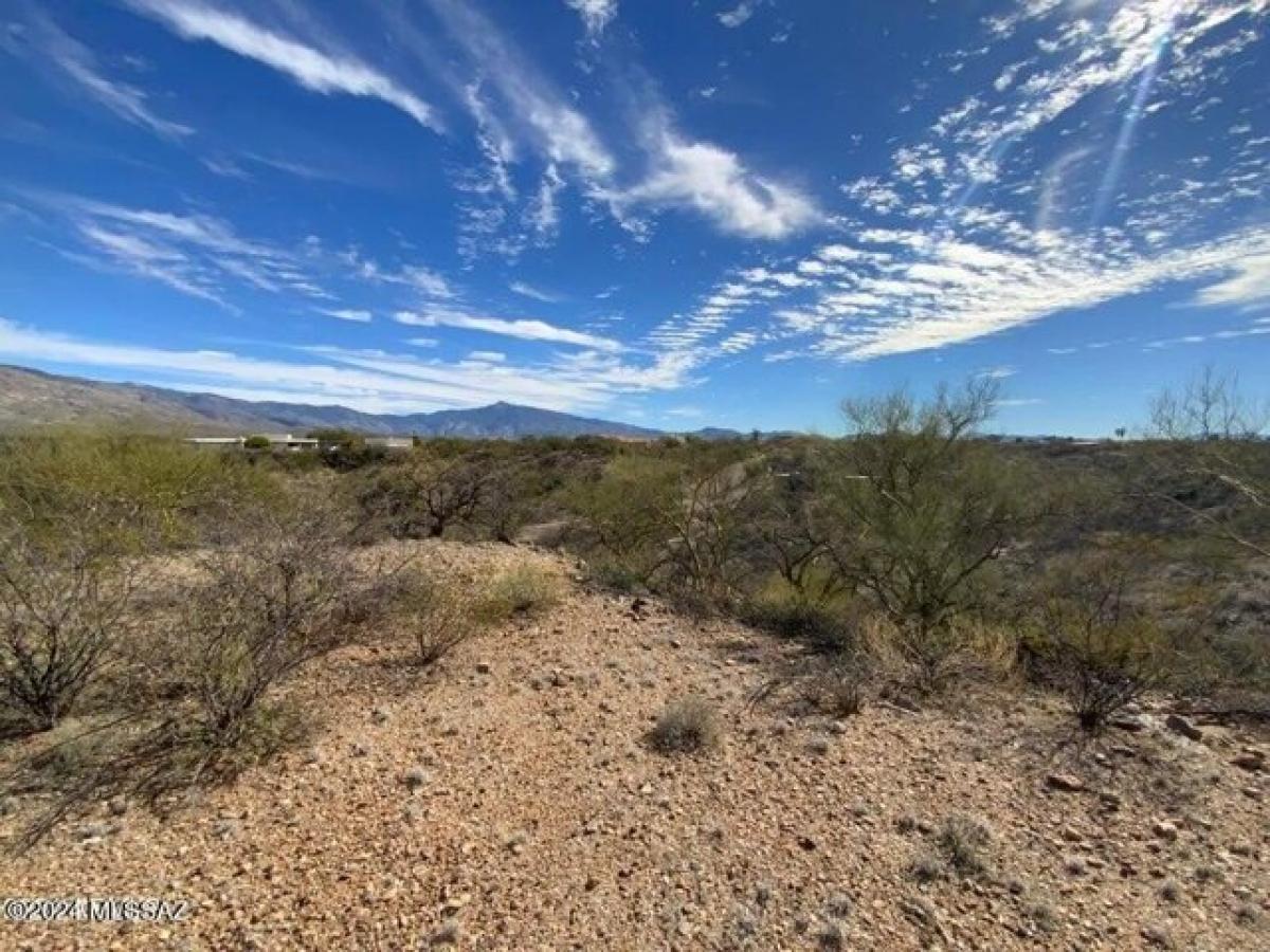 Picture of Residential Land For Sale in Tucson, Arizona, United States