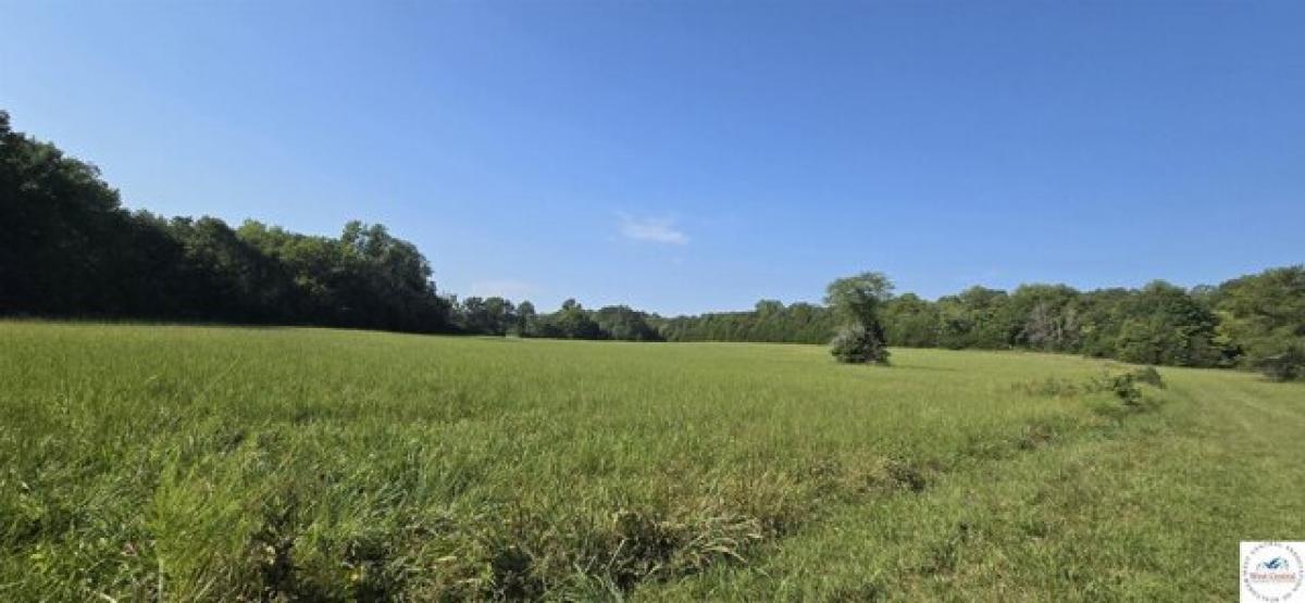 Picture of Residential Land For Sale in Edwards, Missouri, United States