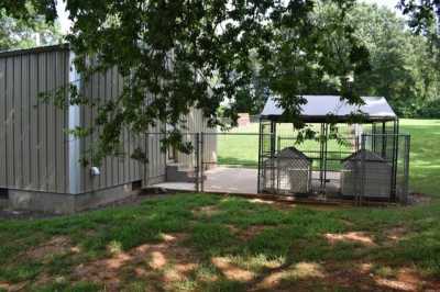 Home For Sale in Danville, Arkansas