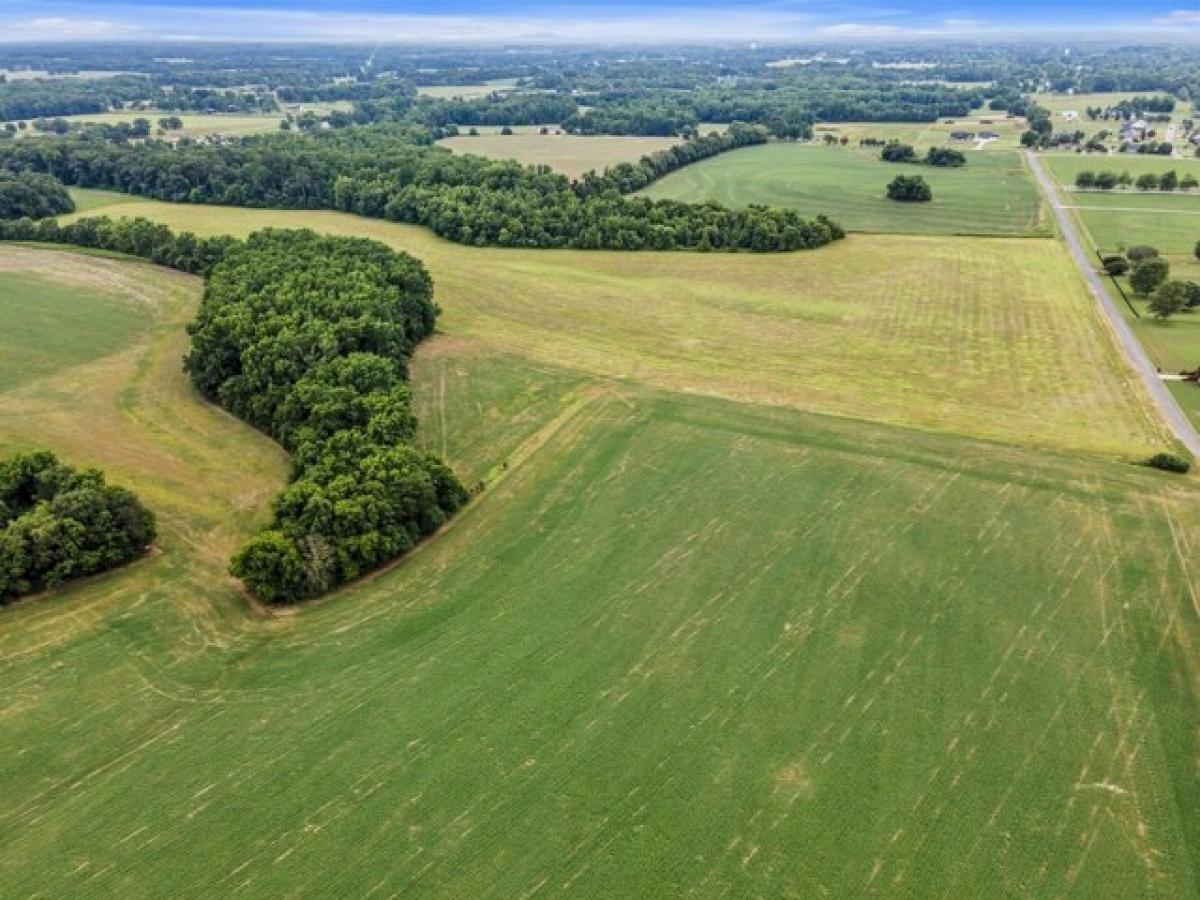 Picture of Residential Land For Sale in Ardmore, Tennessee, United States