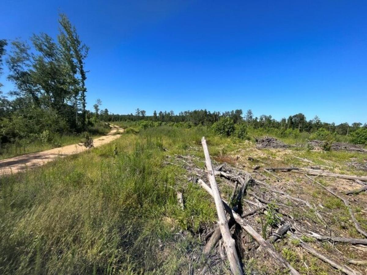 Picture of Residential Land For Sale in Silver Creek, Mississippi, United States