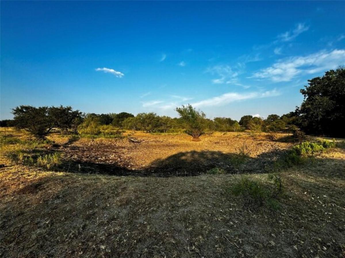 Picture of Residential Land For Sale in Chico, Texas, United States