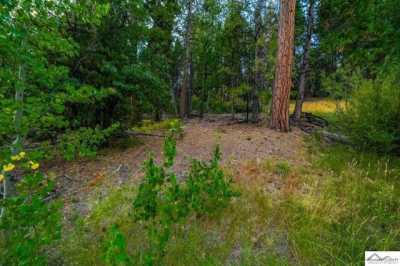 Residential Land For Sale in Mineral, California