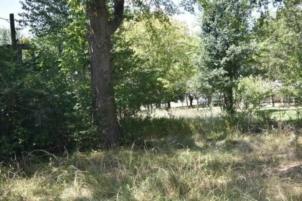 Picture of Residential Land For Sale in Ramer, Tennessee, United States