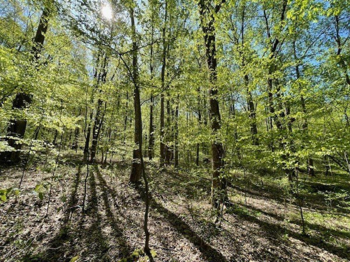 Picture of Residential Land For Sale in Bethpage, Tennessee, United States