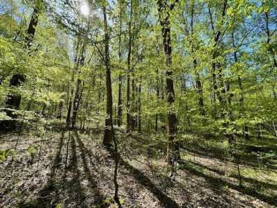 Residential Land For Sale in Bethpage, Tennessee