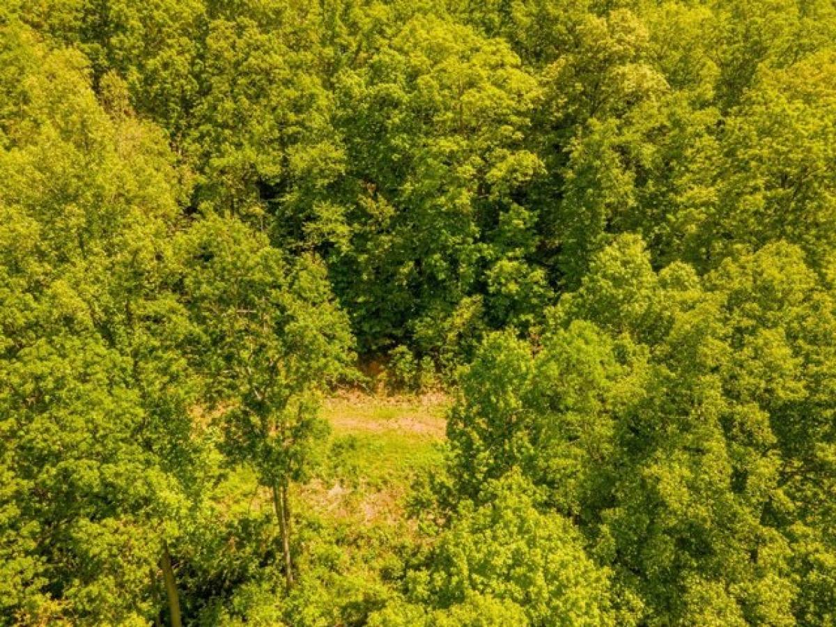 Picture of Residential Land For Sale in Franklin, North Carolina, United States