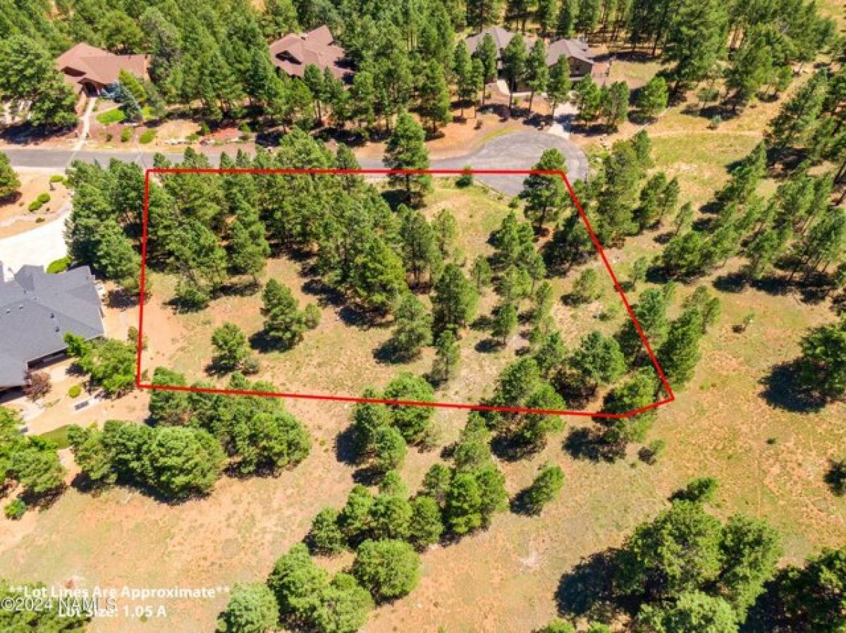 Picture of Residential Land For Sale in Flagstaff, Arizona, United States