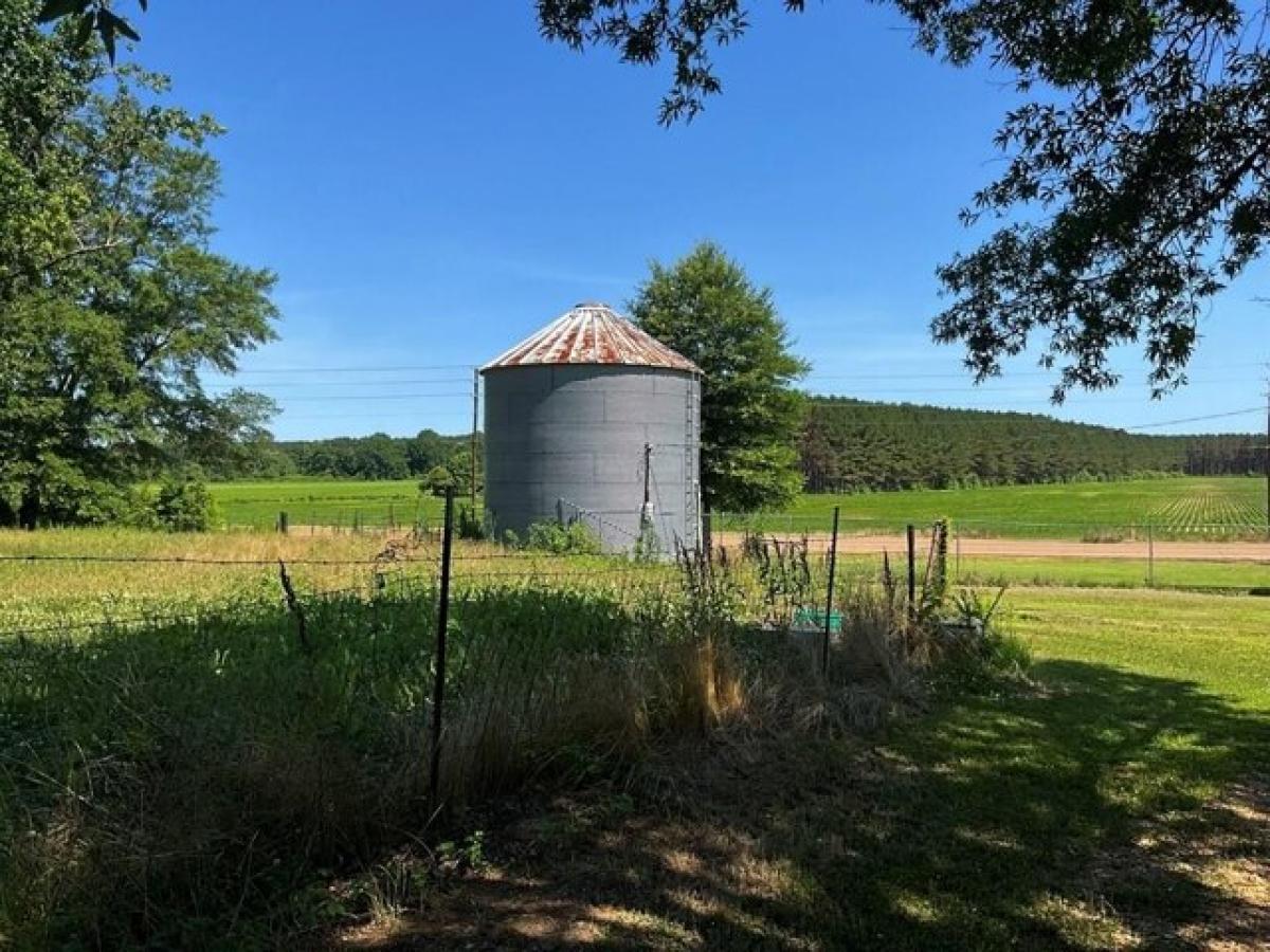 Picture of Residential Land For Sale in Bruce, Mississippi, United States