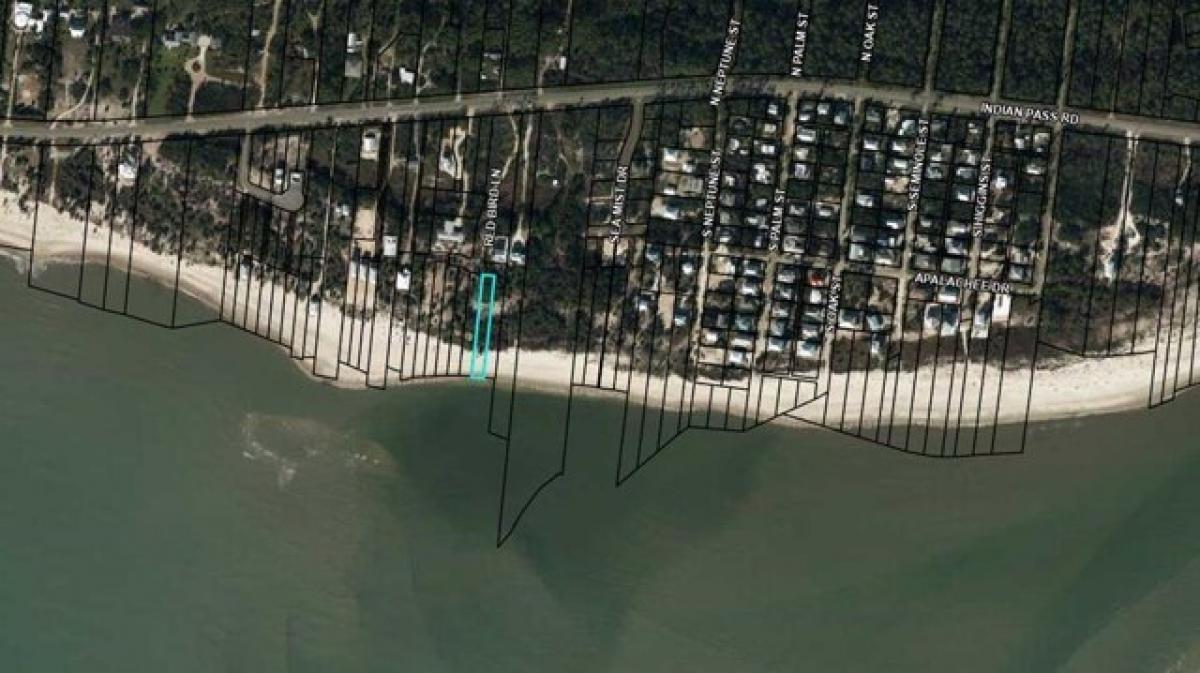 Picture of Residential Land For Sale in Port Saint Joe, Florida, United States