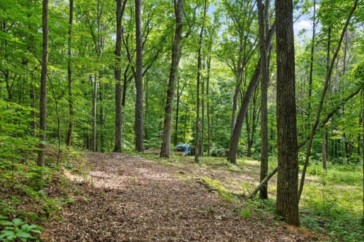 Picture of Residential Land For Sale in Valley Head, Alabama, United States