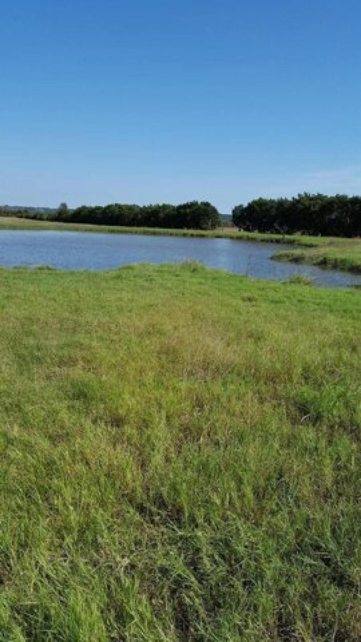 Picture of Residential Land For Sale in Hico, Texas, United States