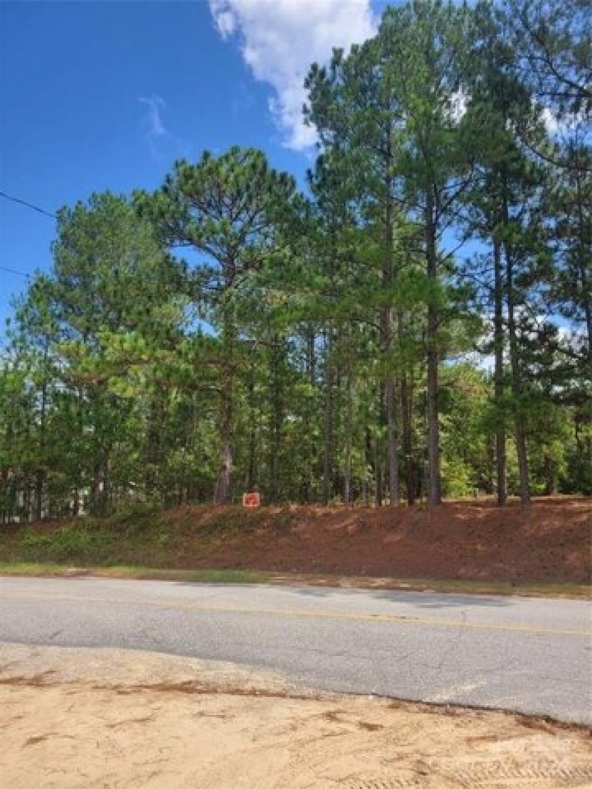 Picture of Residential Land For Sale in Cheraw, South Carolina, United States