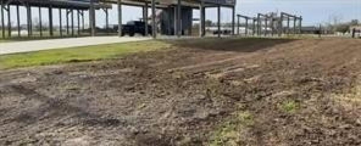 Picture of Residential Land For Sale in Chauvin, Louisiana, United States